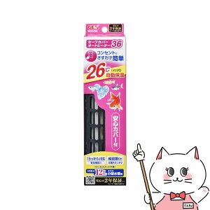 WFbNX Z[tJo[ I[gq[^[36yhappiestzySBTz(6031832)