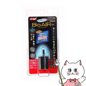 yő400~OFFN[|zWFbNX xXgoCIGA[ 25yhappiestzySBTz(6031876)