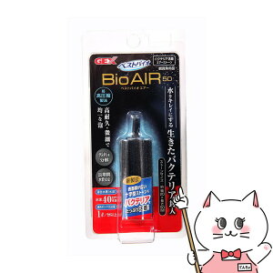 WFbNX xXgoCIGA[ 50yhappiestzySBTz(6031877)