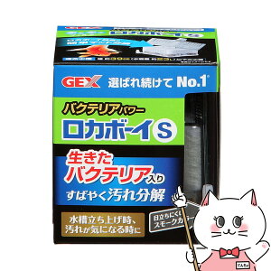 yő400~OFFN[|zWFbNX J{[CS oNeAp[yhappiestzySBTz(6032672)