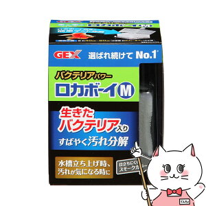 yő400~OFFN[|zWFbNX J{[CM oNeAp[yhappiestzySBTz(6032676)