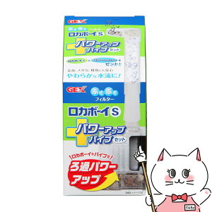 WFbNX J{[CS p[AbvpCvZbgyhappiestzySBTz(6032677)