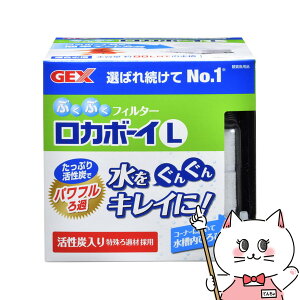 ���i�摜