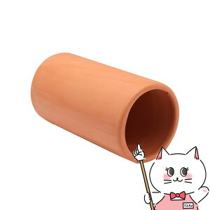 WFbNX i fẲB ۓyǏyhappiestzySBTz(6032866)