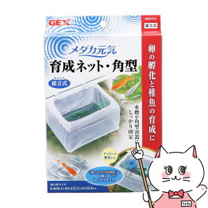 WFbNX _JC 琬lbg p^yhappiestzySBTz(6032987)