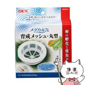 WFbNX _JC 琬bV ی^yhappiestzySBTz(6032989)