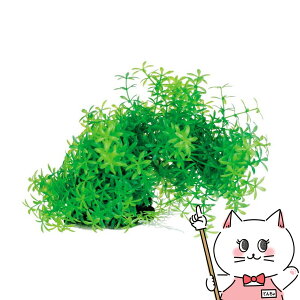 XyNguYWp eg tLVuvg FP-1yhappiestzySBTz(6033009)