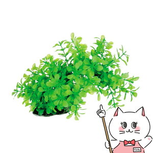 XyNguYWp eg tLVuvg FP-2yhappiestzySBTz(6033010)