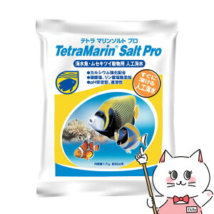 �y���|�C���g�o�b�N�Սő�41�{�z�X�y�N�g�����u�����Y�W���p�� �e�g�� �}�����\���g �v�� 50L�p�yhappiest�z�ySBT�z(6033047)