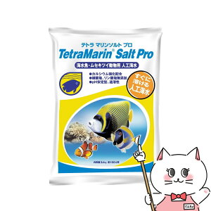 yő400~OFFN[|zXyNguYWp eg }\g v 100LpyhappiestzySBTz(6033050)