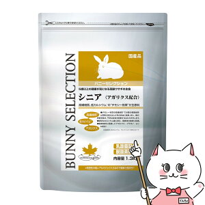 yő400~OFFN[|zC[X^[ oj[ZNV VjA 1.3kgyhappiestzySBTz(6034690)