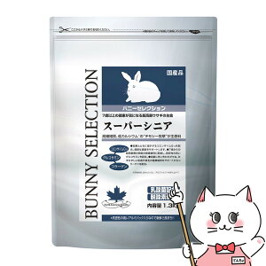 yő400~OFFN[|zC[X^[ oj[ZNV X[p[VjA1.3kgyhappiestzySBTz(6034691)