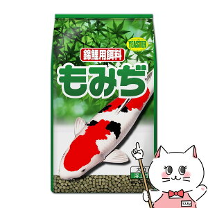 yő400~OFFN[|zC[X^[ ݂ ʗpE嗱 3.7kgyhappiestzyz֑z(6034705)