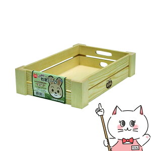 }J ̖qp[NyhappiestzySBTz (6033558)