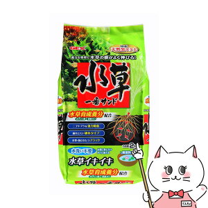 yő400~OFFN[|zWFbNX ԃTh 2kgyhappiestzySBTz (6034171)