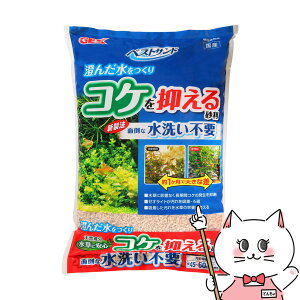 WFbNX xXgTh 6Lyhappiestzyz֑z (6034205)