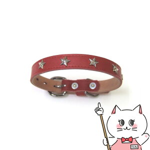 쐻쏊 JtX^[J[ #15 bhyhappiestzySBTz (6035005)