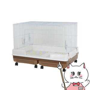 yő400~OFFN[|z}J ̃J^P[W ChByhappiestzy200TCYzyz֑ziƂ̓s (6035193)