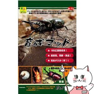 yő400~OFFN[|zOW 琬}bg 5LyhappiestzySBTz(6035337)