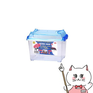 OW N[P[X SSyhappiestzySBTz(6035341)