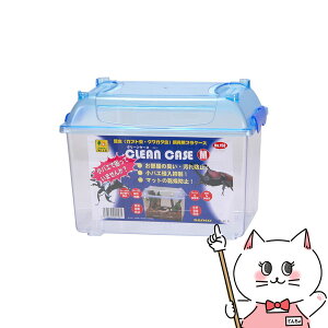 OW N[P[X MyhappiestzySBTz(6035343)