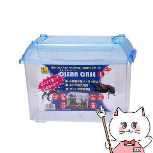 OW N[P[X Lyhappiestzyz֑z(6035344)