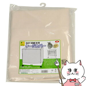 OW C[W[z[60p P[WJo[yhappiestzySBTz(6035384)