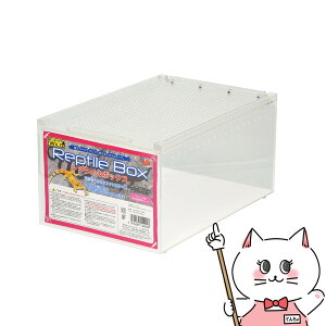 yő400~OFFN[|zyubNtCf[zOW v^C{bNXyhappiestzyz֑ziƂ̓s (6035673)