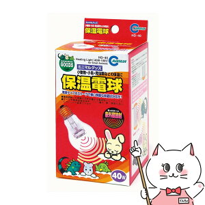 }J ۉd 40WyhappiestzySBTz (6035980)