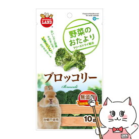 【お買い物マラソン】マルカン 野菜のおたより ブロッコリー 10g【happiest】【SBT】 (6036019)