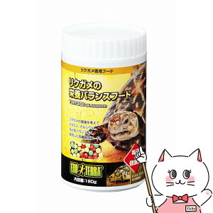 WFbNX NK̉h{oXt[h180gyhappiestzySBTz (6037296)