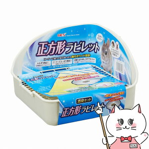 WFbNX qmLA `rbgLZbg ~L[zCgyhappiestzySBTz (6037320)