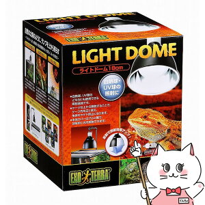 WFbNX Cgh[18cm PT2057yhappiestzyz֑z (6037331)