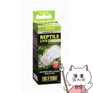 WFbNX v^CUVB100 13W PT2186yhappiestzySBTz (6037337)