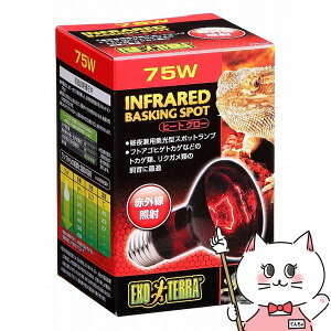 WFbNX q[gO[ԊOƎ˃X|bg v 75WyhappiestzySBTz (6037354)
