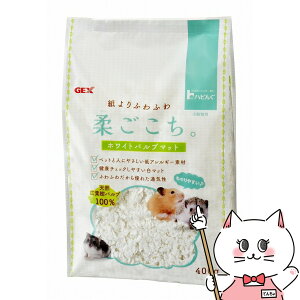 WFbNX nr _ 400gyhappiestzySBTz (6037433)