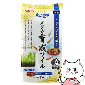 ジェックス メダカ水景 メダカ育成ソイル 2.5L【happiest】【SBT】(6040472)