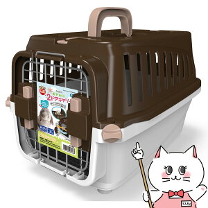 }J ̂ł2hAL[yhappiestzyz֑ziƂ̓s(6041241)