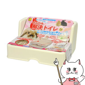 OW Ȃ݉gC IVyhappiestzy120TCYzyz֑z(6041189)