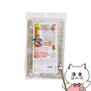 yő400~OFFN[|zOW C[W[z[o[hp NA[P[WJo[ 40yhappiestzySBTz(6041205)