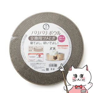 yő400~OFFN[|zyubNtCf[zL oo{E p߂Ƃ 2pbNyhappiestzy120TCYzyz֑z(6041329)