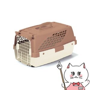 yő400~OFFN[|zXyNguYWp t@[XgbNX ybgXC[g S `Ryhappiestzyz֑ziƂ̓s(6041403)