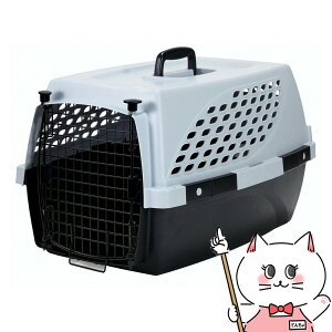 yő400~OFFN[|zXyNguYWp t@[XgbNX ybgXC[g L O[yhappiestzy160TCYzyz֑ziƂ̓s (6041405)