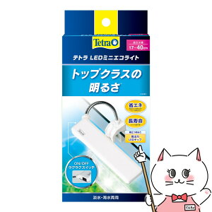 yő400~OFFN[|zXyNguYWp eg LED~jGRCgyhappiestzySBTz(6041439)