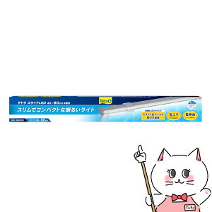 XyNguYWp eg XChLED 45`60cmpyhappiestzyz֑z(6041443)