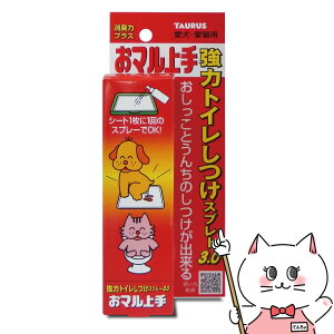 yő400~OFFN[|zg[X } 100mlyhappiestzySBTz(6041572)