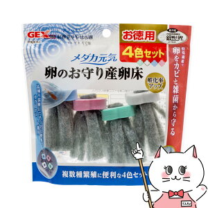 WFbNX _JC ̂ Y4FZbgyhappiestzySBTz (6042886)