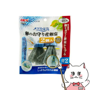 WFbNX _JC ̂Y  2yhappiestzySBTz (6046612)