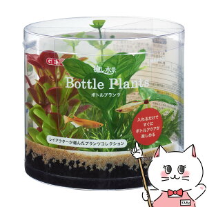 yő400~OFFN[|zWFbNX i {gvc AkrAXyhappiestzySBTz (6046652)