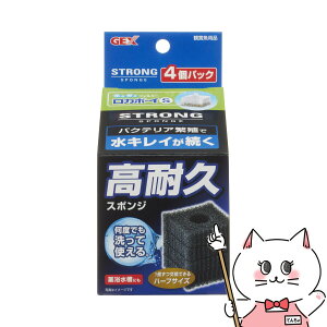 WFbNX J{[CS XgOX|W 4pbNyhappiestzySBTz (6046656)